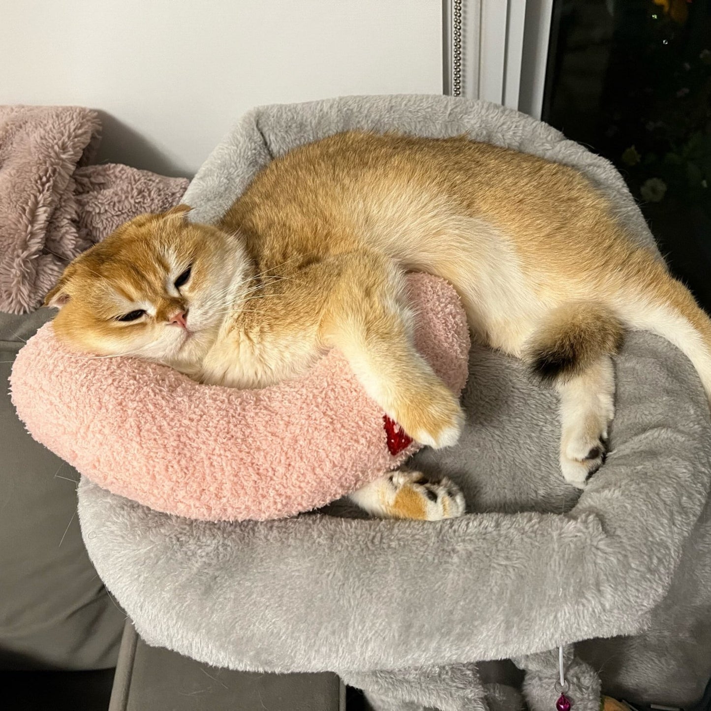 Coussin apaisant